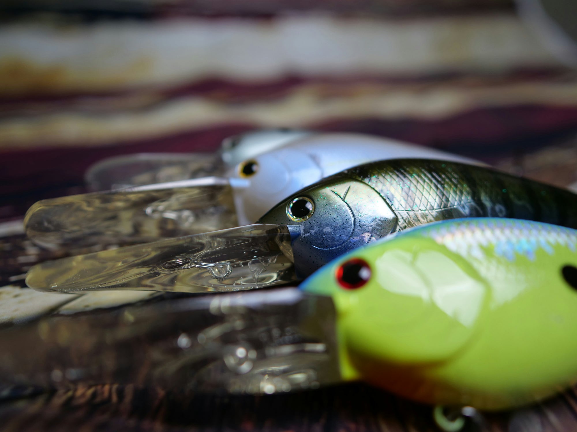 Three fish lined up close up with bait
